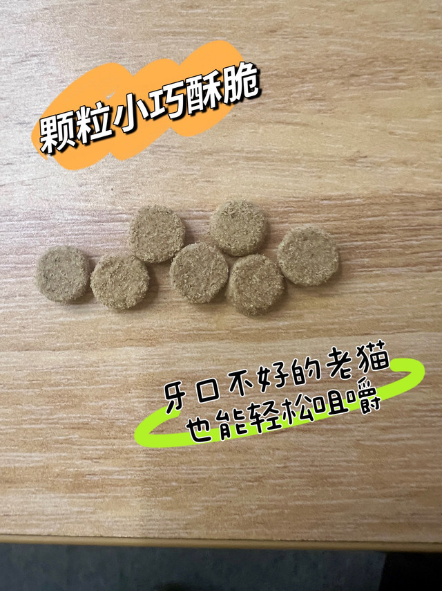 这袋老年猫粮搞定护肾抗衰？噱头还是真本事