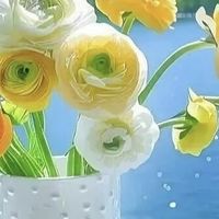 油皮用什么洗面奶好?肤质不同难搭配 4款平价氨基酸洁面亲测