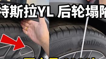 特斯拉“后轮下沉”事件发酵：换弹簧没用，改标准就完了？