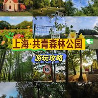 上海共青森林公园游玩攻略🌿闯入绿色童话