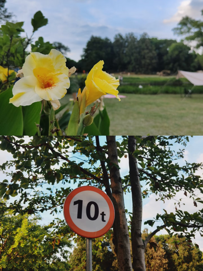 国内度假