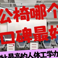 办公椅哪个牌子口碑最好？十款性价比最高的人体工学办公椅推荐