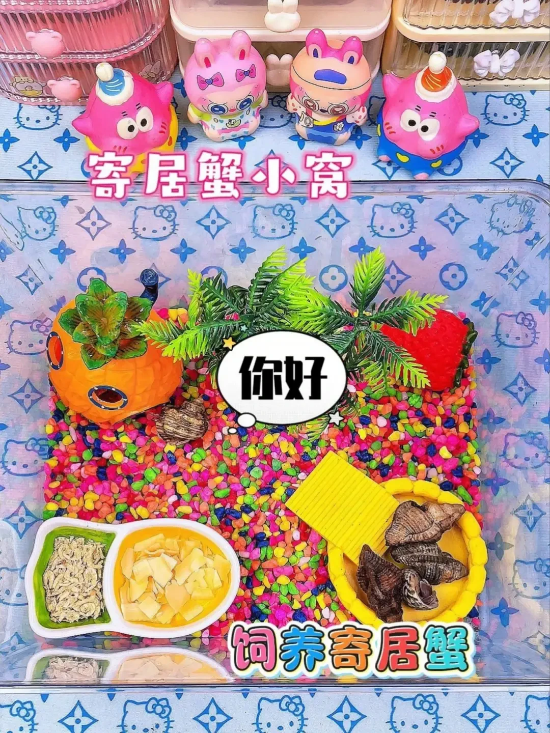 「松了,松了」:12k赞的寄居蟹夹嘴唇帖吵到今天,国庆赶海和夜市地摊掏10块之前,先把海陆、十年、蜕皮这三笔账和一条海关红线算清