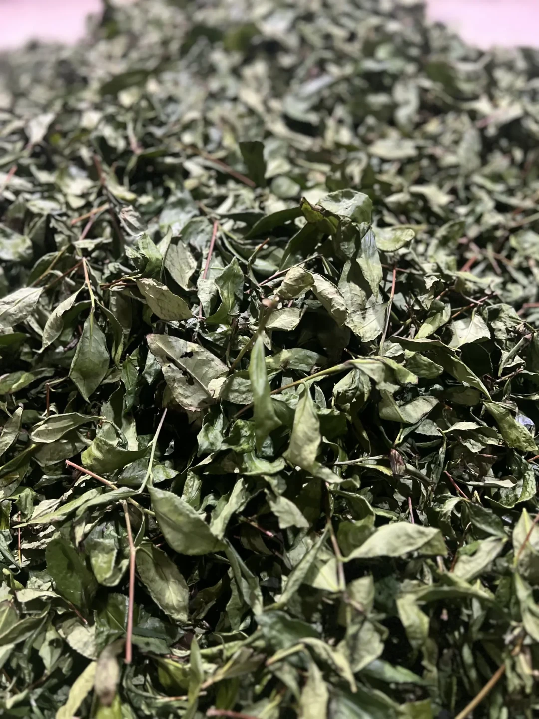 距中秋10天,茶圈的