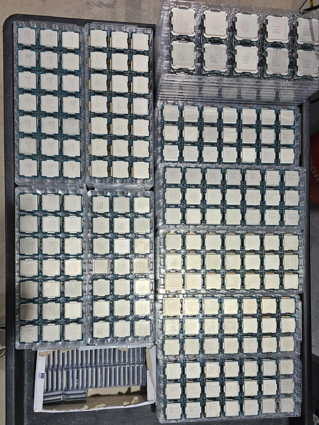 特朗普喊