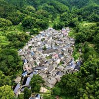 中秋还剩10天，"加糖红茶"的视频两平台刷出20万赞：我把卫健委的25克糖账、12张红茶价签和一条3.3万赞的反证摆齐，理清2笔账、4步辨别和4类人的动作