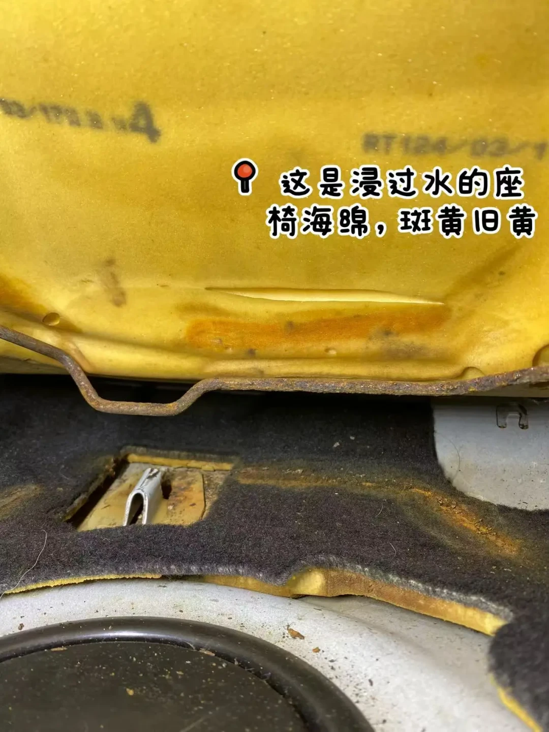 瓜子只赔600元、优信白纸黑字“十年包退”却拒退:现行国标连“泡水车”都没定义,9月买车先在合同里钉死“按谁的标准判”