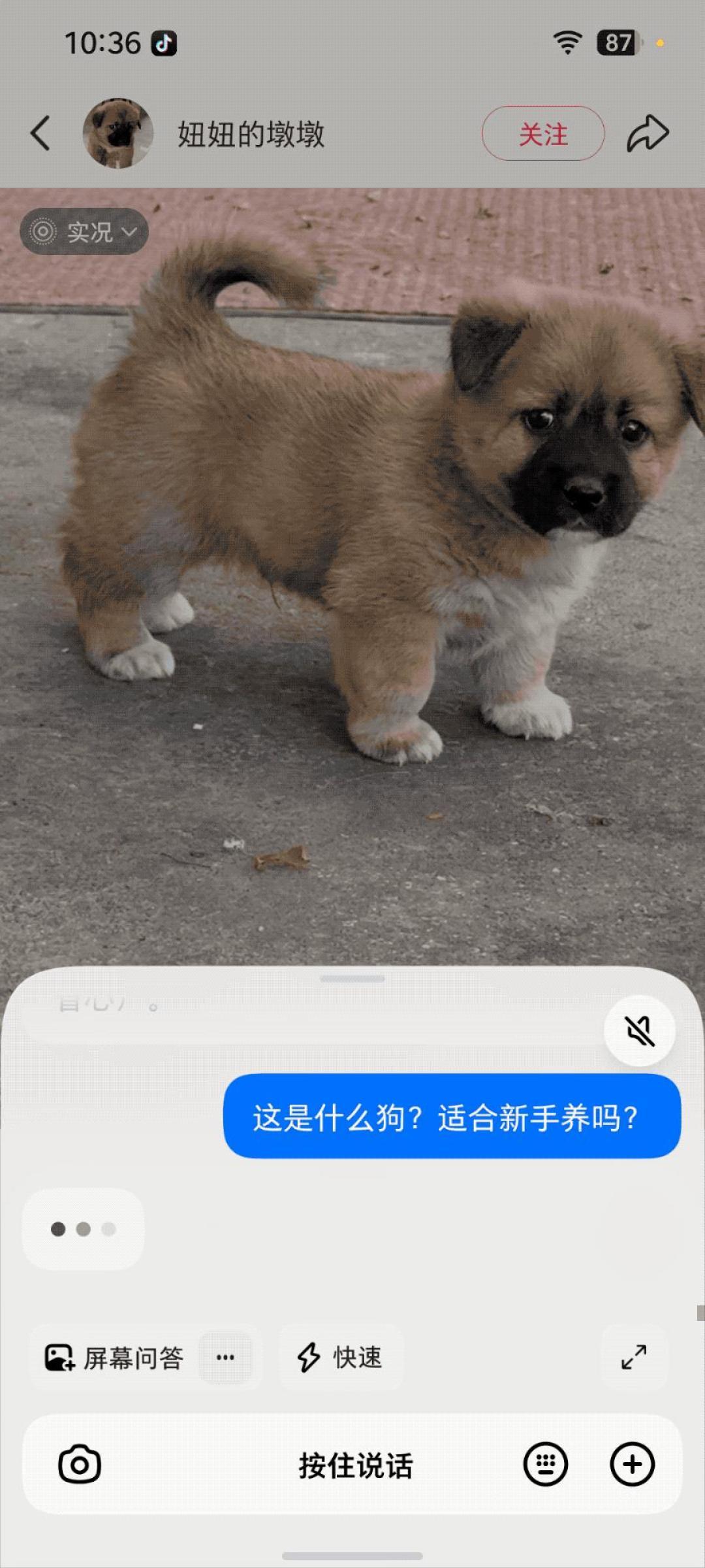 明天开卖的豆包手机,先别跟着37万人冲首发:核完SAEP「30天公示期默认不操作」的隐含规则、一代从3499元秒罄到闲鱼炒3.6万再到被微信银行集体踢出的全程、豆包系满血而微信仍是禁区的真实能力边界,这份「冲首发·等30天·不换机」三路线决策表请收好