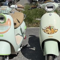 台铃30天4次黑榜：4个不合格项目我全拆开看了，真正要担心的只有两个——掏钱前先把铭牌拍下来