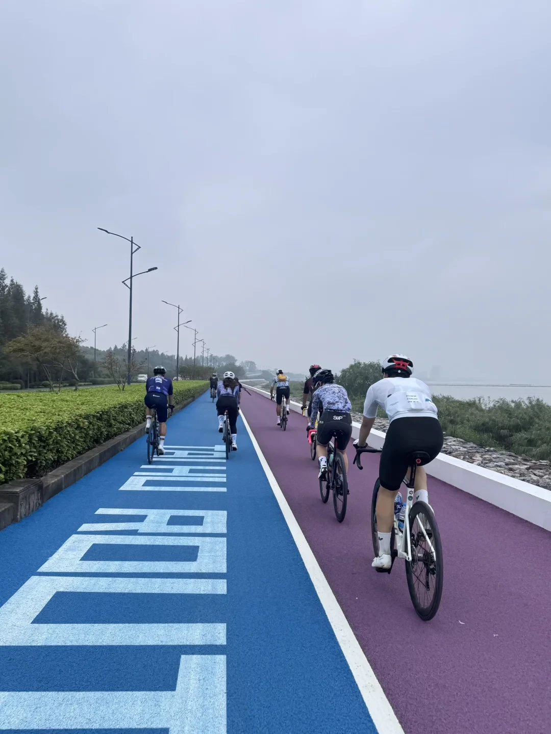 国庆第一场长途,江浙沪骑友为什么都盯上了环太湖:240公里大圈、300公里两天、450公里小圈吵成三派——我把20多篇环湖帖、3000多条评论和商业团套餐对了一遍,给第一次骑长途的周末骑友排清选哪版、几天骑、报不报团、宜兴段怎么绕、哪些坑已经有人替你踩过