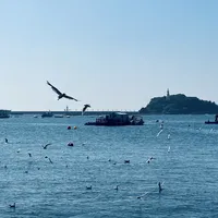 王源青岛站周六15:30开抢！镇江生日场公售预估仅两万，这两场抢哪场、怎么排，三笔账一次算清