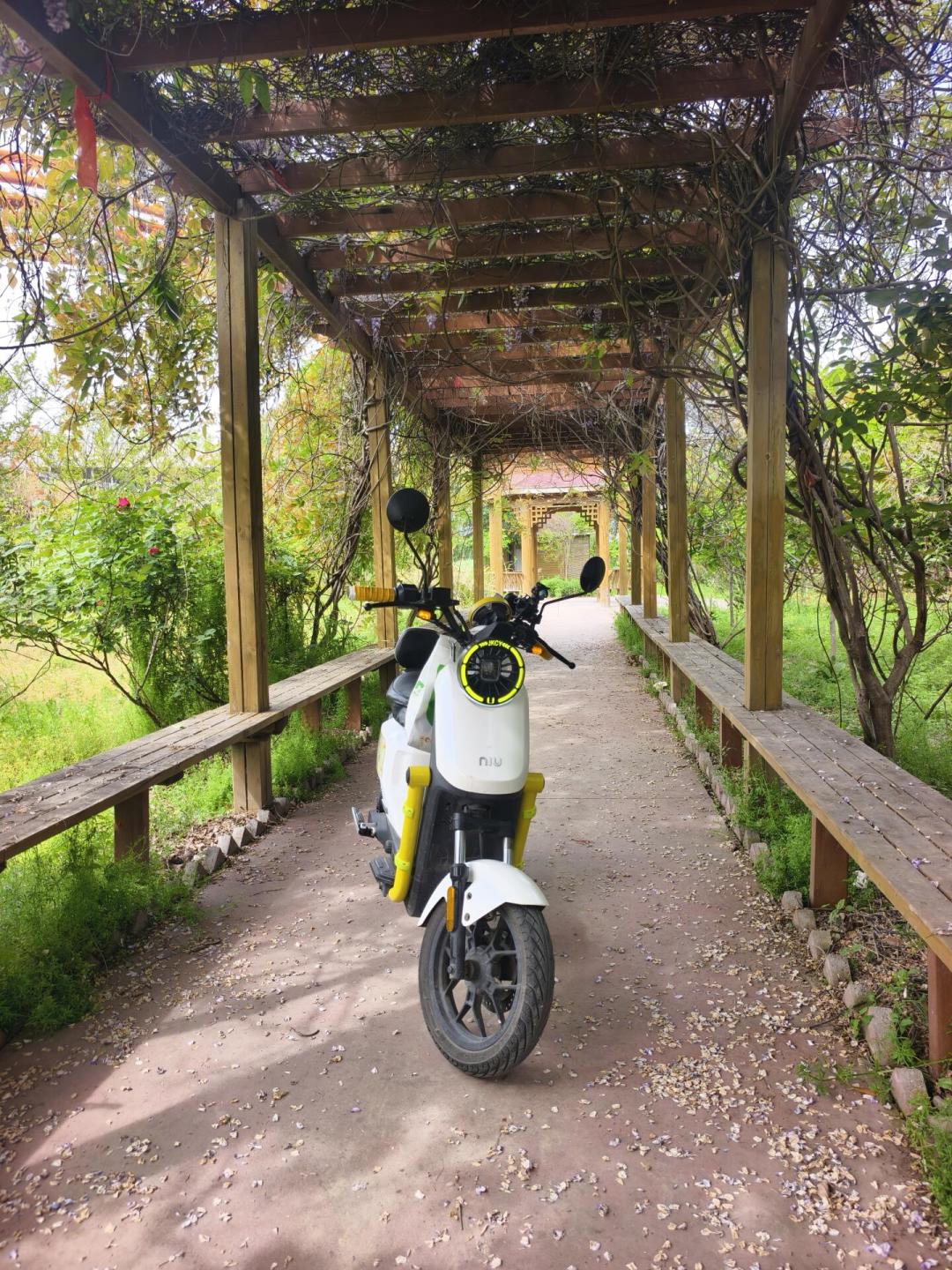 二手小牛跌出