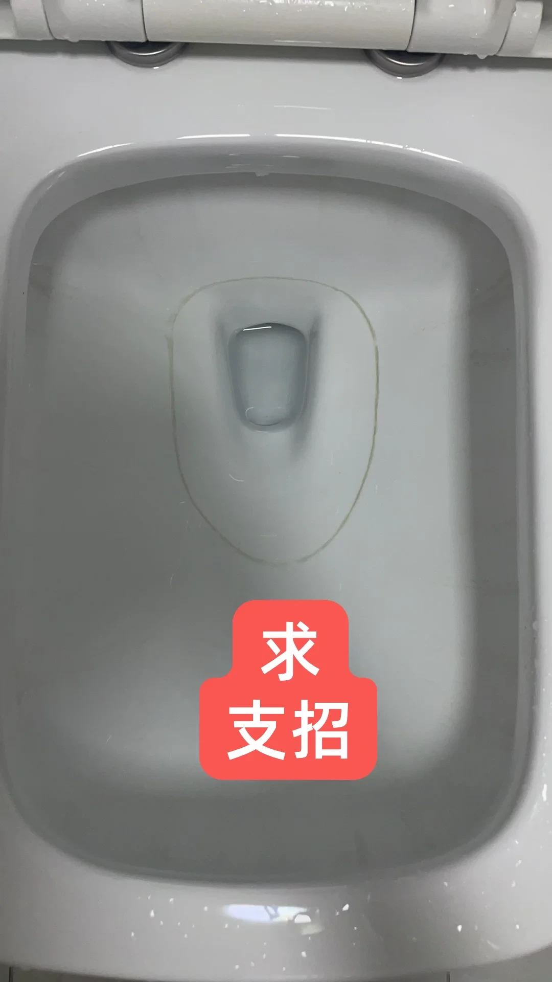马桶水位线一圈黄垢刷不掉?别急着倒草酸,更别拿钢丝球刷:先分清尿垢还是霉圈,再排掉存水上酸,才决定用柠檬酸、洁厕灵还是浮石