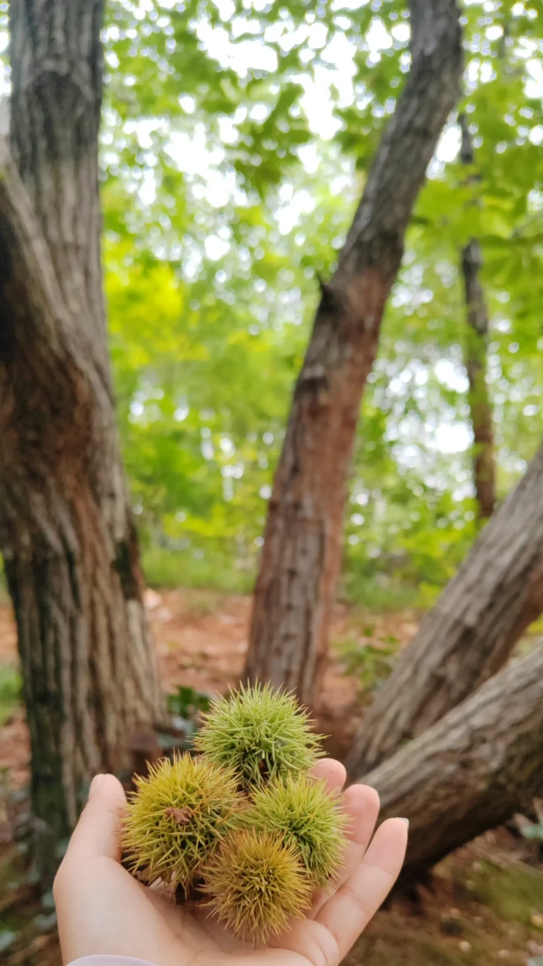 一边产地喊