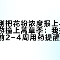卫健委刚把花粉浓度报上4级、十一出游撞上蒿草季：我把央视网的提前2-4周用药提醒、1038元降到300元档的"鼻炎针"医保账本和几十条"氯雷他定不管用了"的晒单翻了个底——药换不换、测不测、针打不打、敏脱不脱、花多少、哪些钱白花，一次说清