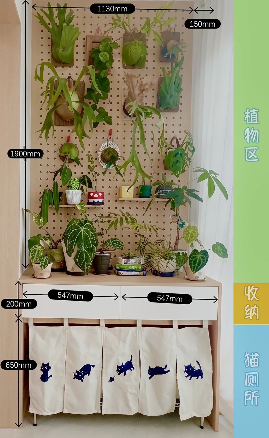 8月底开始「绿植上墙」的帖子天天有新帖:翻了吸盘掉落、1.6米架晃动和浇水帖,我把哪面墙能挂、承重多少、钱花在哪理清了