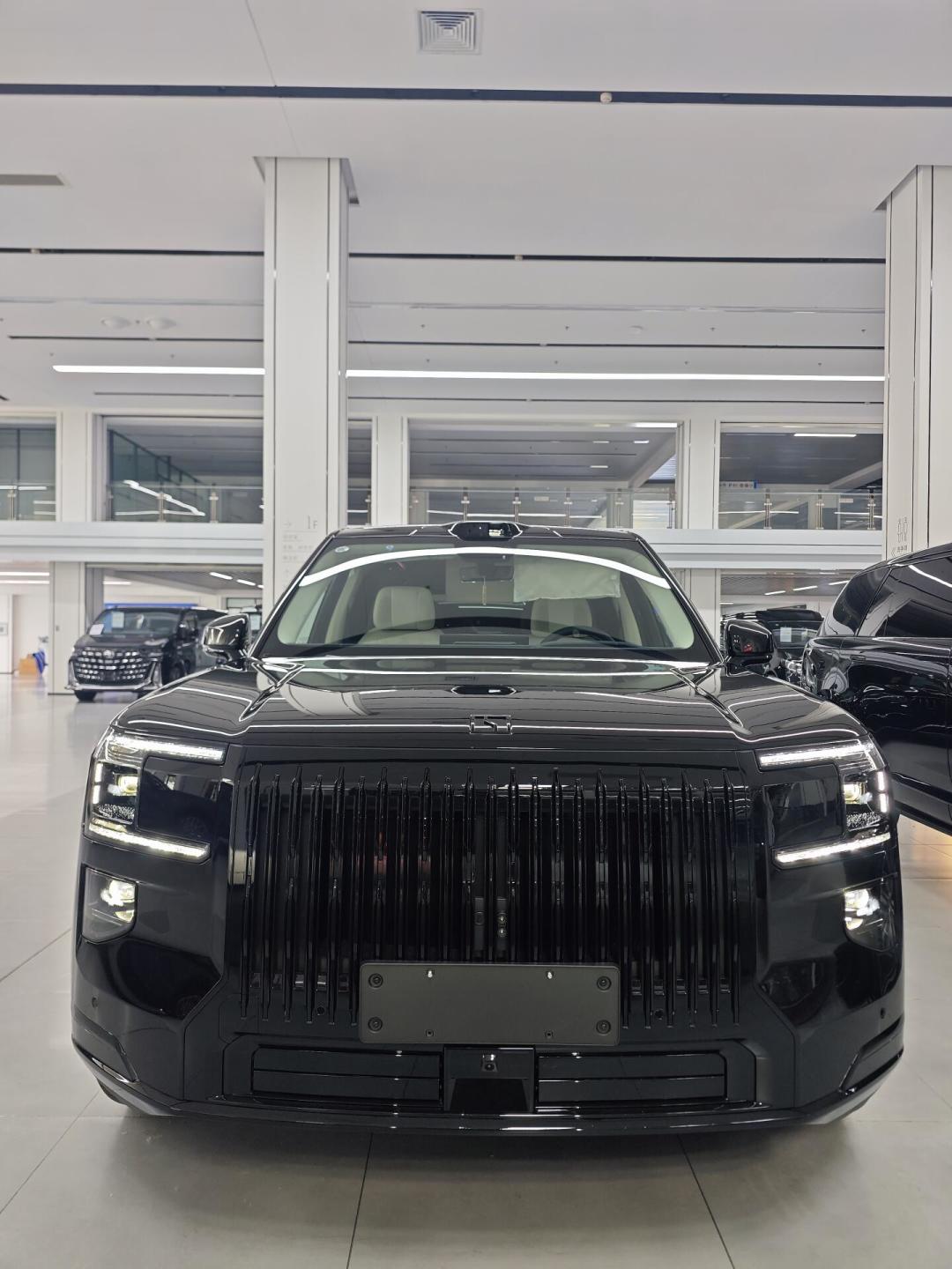 极氪9X