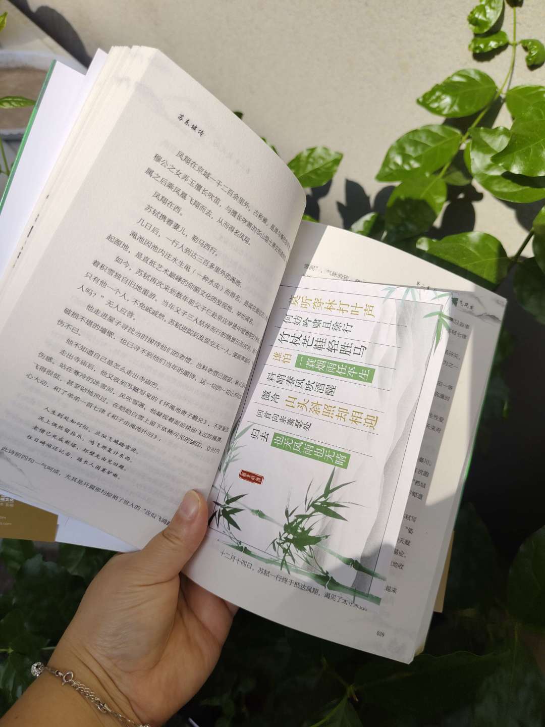 同一个苏东坡，被读成了两个人：买传记之前，先想清楚你要遇见哪个苏东坡
