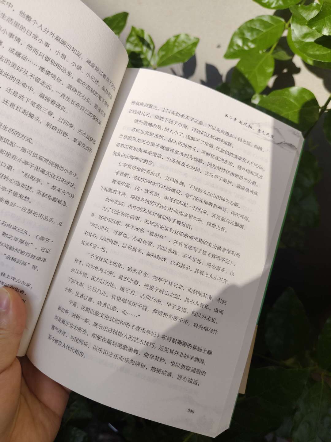 同一个苏东坡，被读成了两个人：买传记之前，先想清楚你要遇见哪个苏东坡