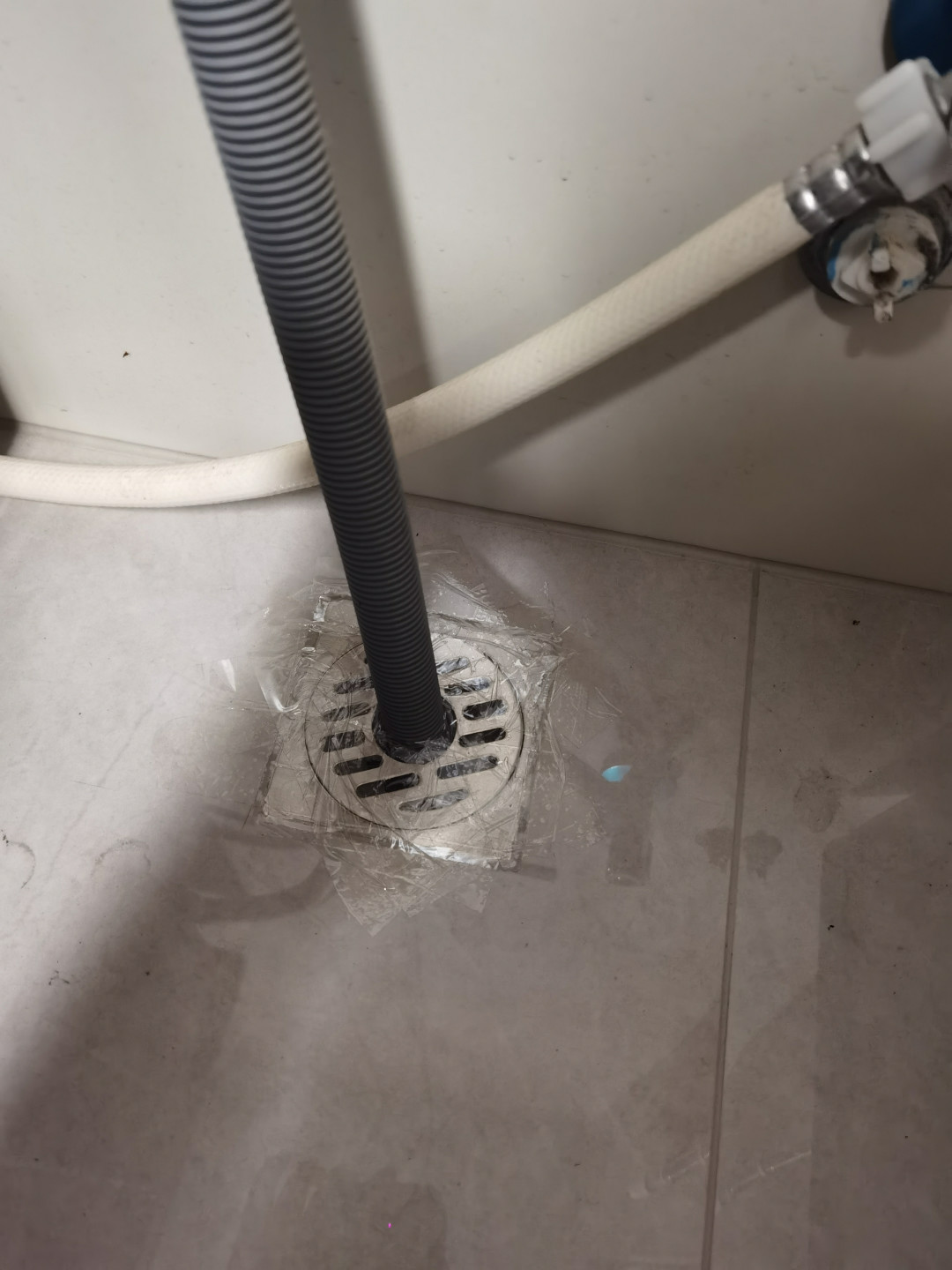 晚上更臭、下雨刮风天反味、蛾蠓还打不完：9月中旬反味高峰还在出新帖——翻完GB50015水封国标、小苏打+白醋的中和反应真相和四个平台几百条评论，让你臭的不是管子脏，是弯管里那两指高的水干了或被抽走了，报师傅前先查这四处，最便宜的修法花0元