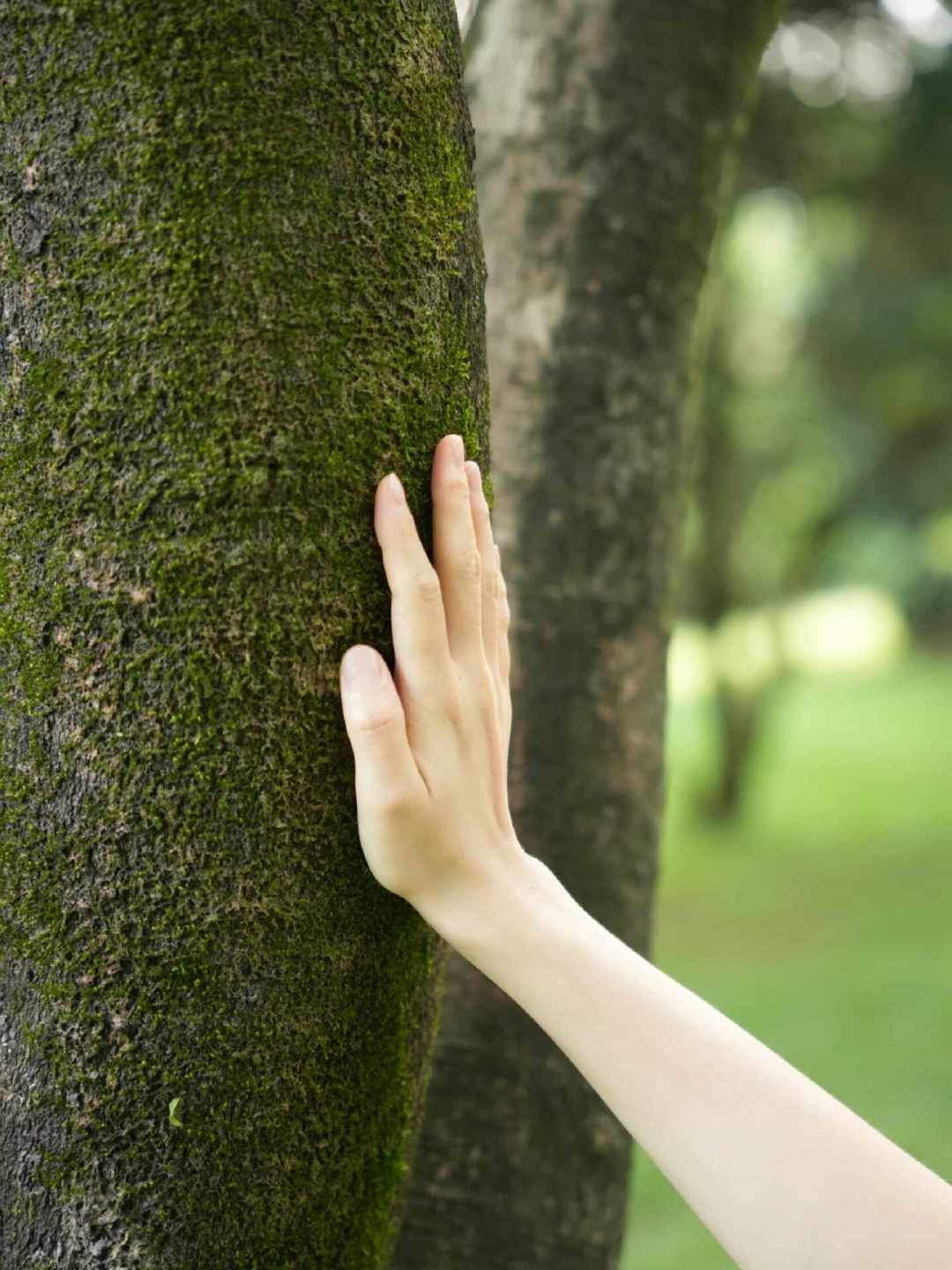 一场抱树活动上千元,伊春五花山显色正好:今年秋天玩森林浴,先把三个问题想明白