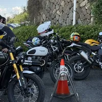 首摔完就想装护杠？两篇热帖240多条评论摊开：保车、保腿、伤车架，是三本不同的账