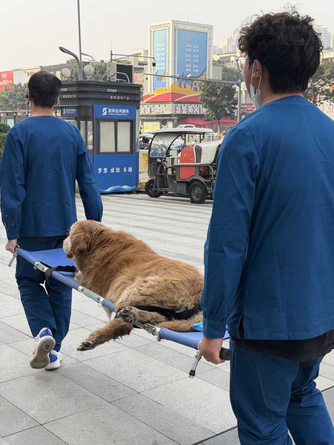 草地冲刺10米,换来一张上万块的手术单:入秋