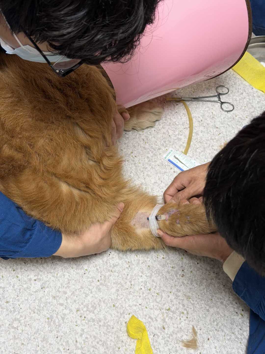 草地冲刺10米,换来一张上万块的手术单:入秋