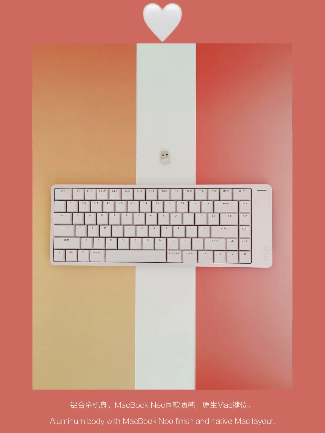 小顺2 Mac的