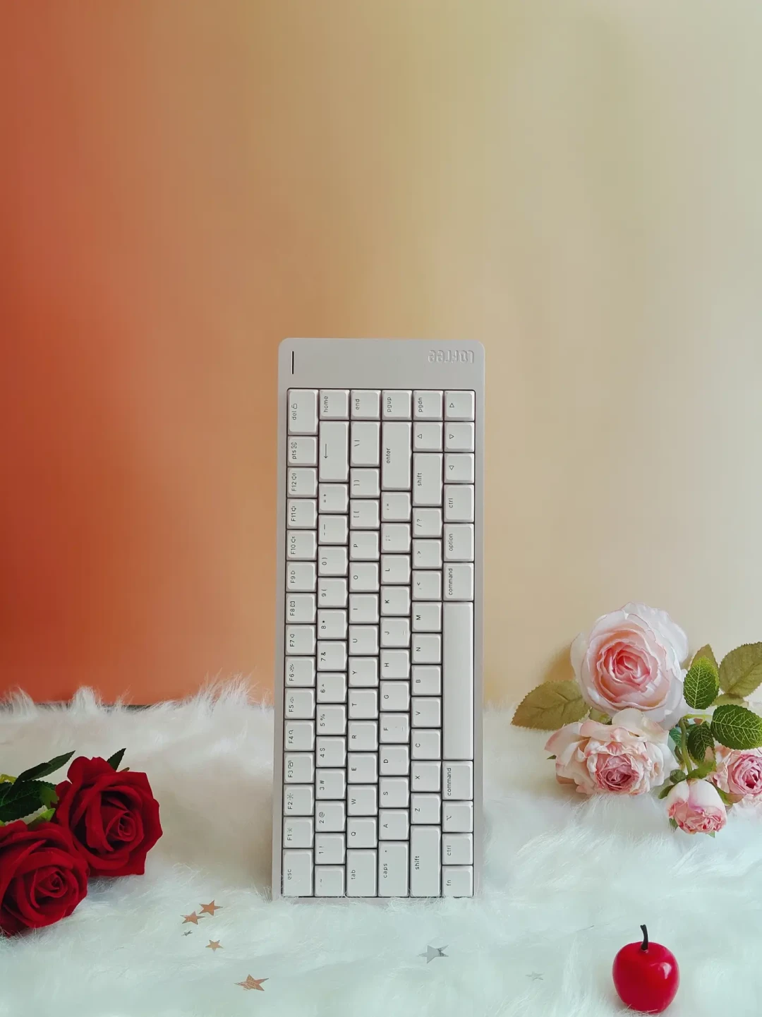 小顺2 Mac的