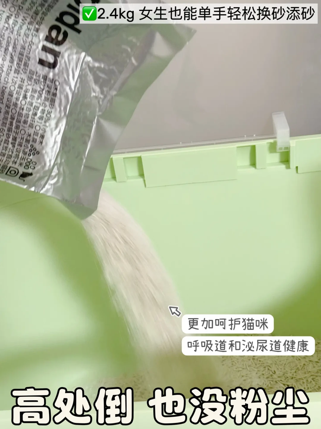 幼猫到家第一个月:我把刷屏的