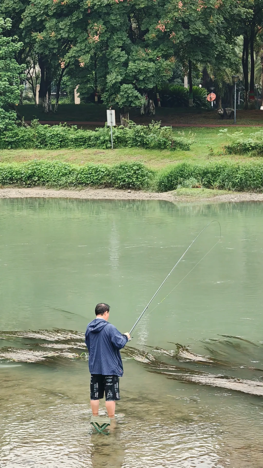 漂只下小半目、抬竿就空:全网让你换细线之前,先把秋天的