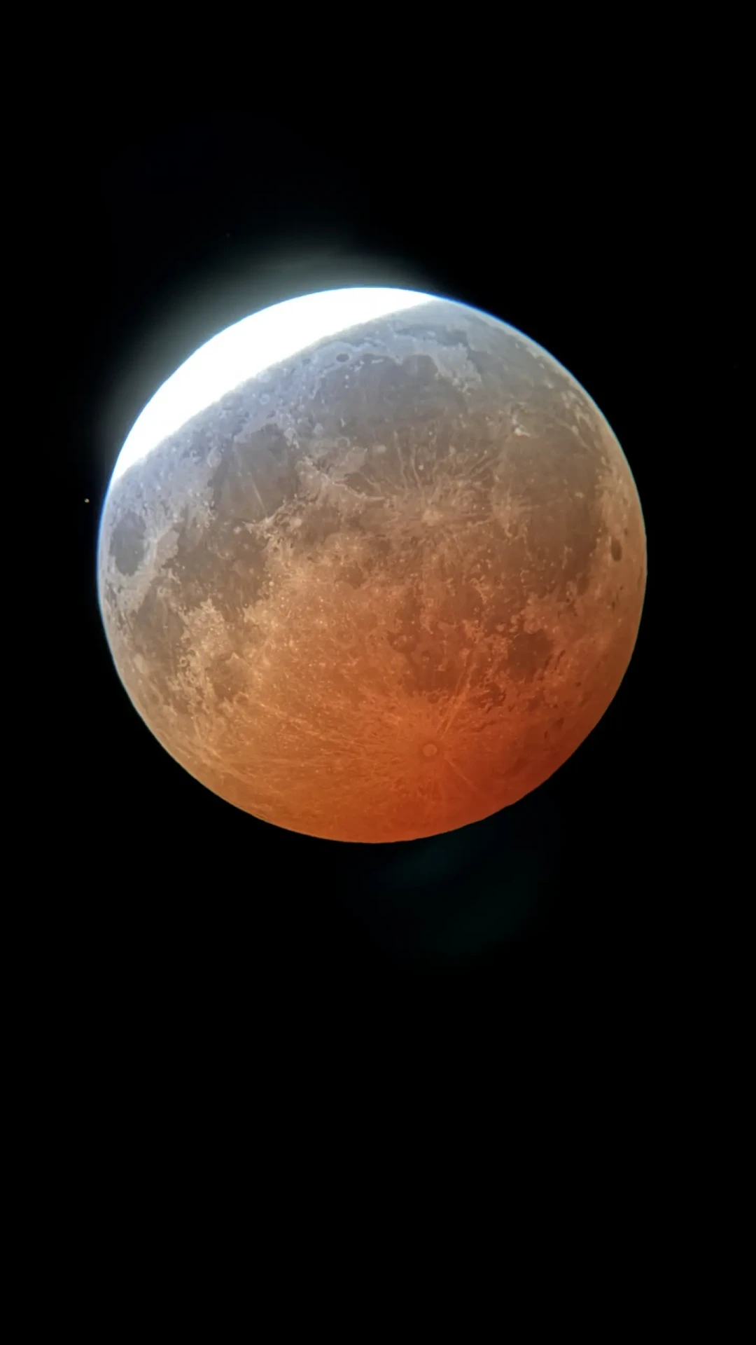 星特朗二手近半月放量:130EQ砍到500、127SLT死扛1500,捡吃灰货之前先算这三个数