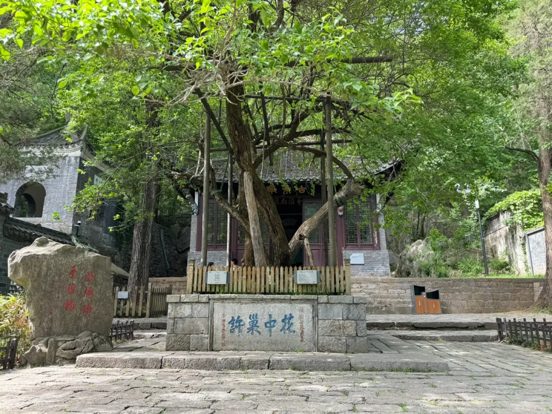 国庆背诗免门票:11个景区实测核验,网传攻略一大半已经过期