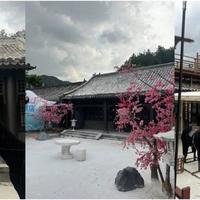 2000名游客去横店"带资"当主演：199到600元档位全对比，影视节定档后，这趟"入戏"该不该冲