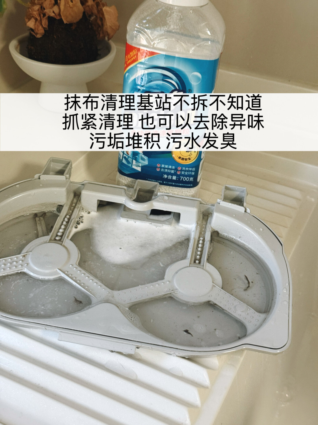 S60Pro拖地臭上热搜帖:我翻完30+条吐槽帖,臭味来源往往不是你看得见的拖布