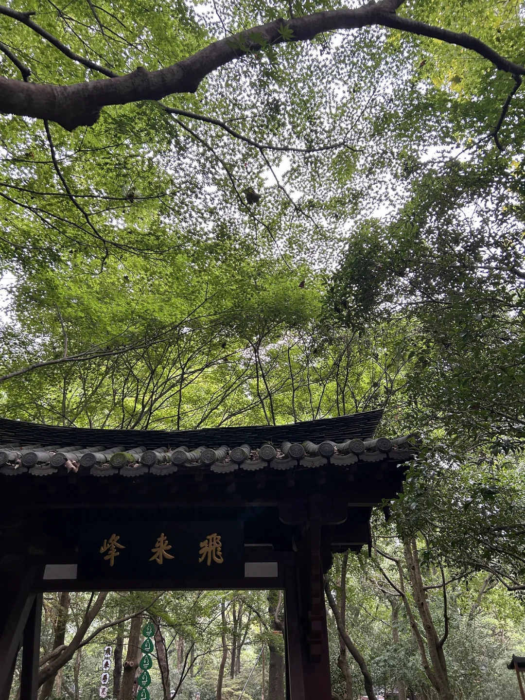 约灵隐前,先核对那个