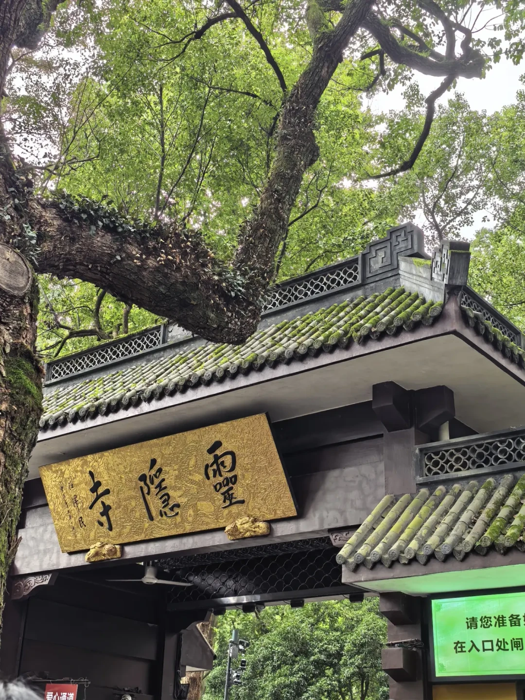 灵隐约满别急着买