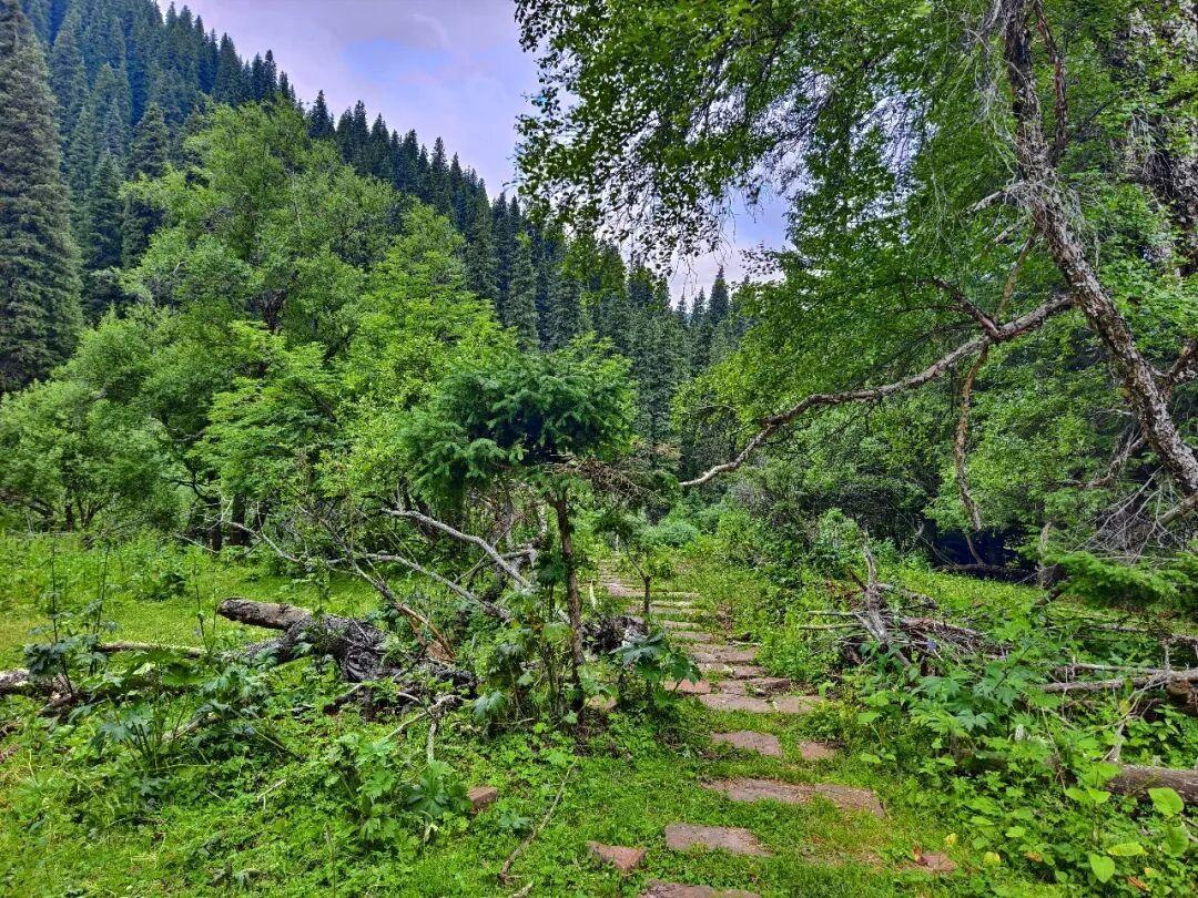 抢到了自驾票,却没定下住哪?那拉提国庆住宿的三圈层真实账本