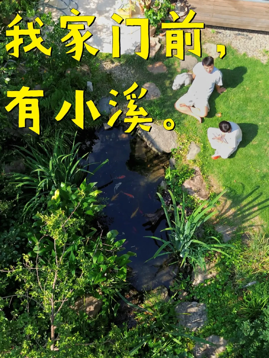 秋蚊子猛如虎：九月在院子里放走的每一只，都是明年春天的定金