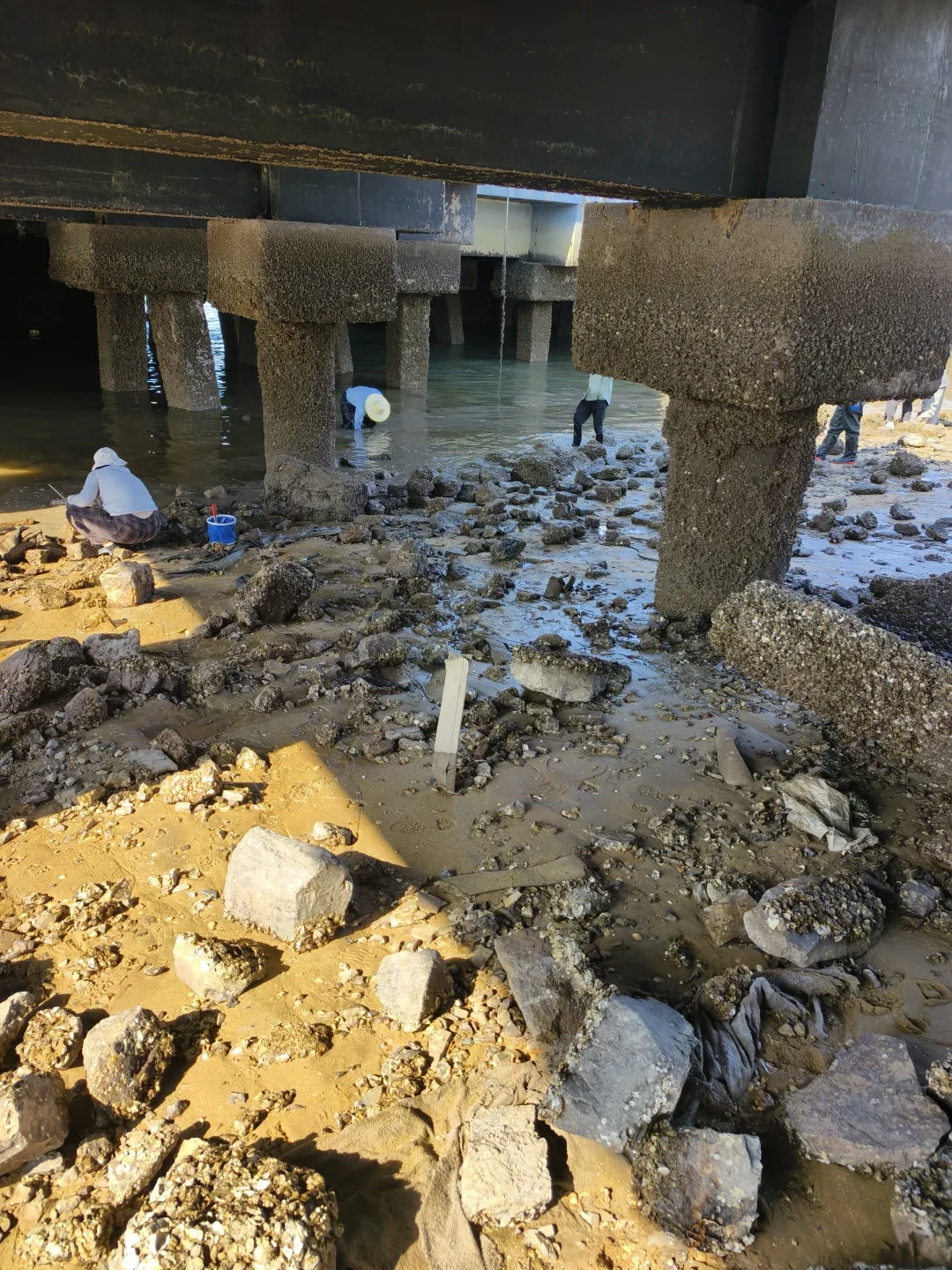 挖蛤蜊第一课是“挖”装备清单:雨鞋党洞洞鞋党各对一半,先看你踩的是哪种滩