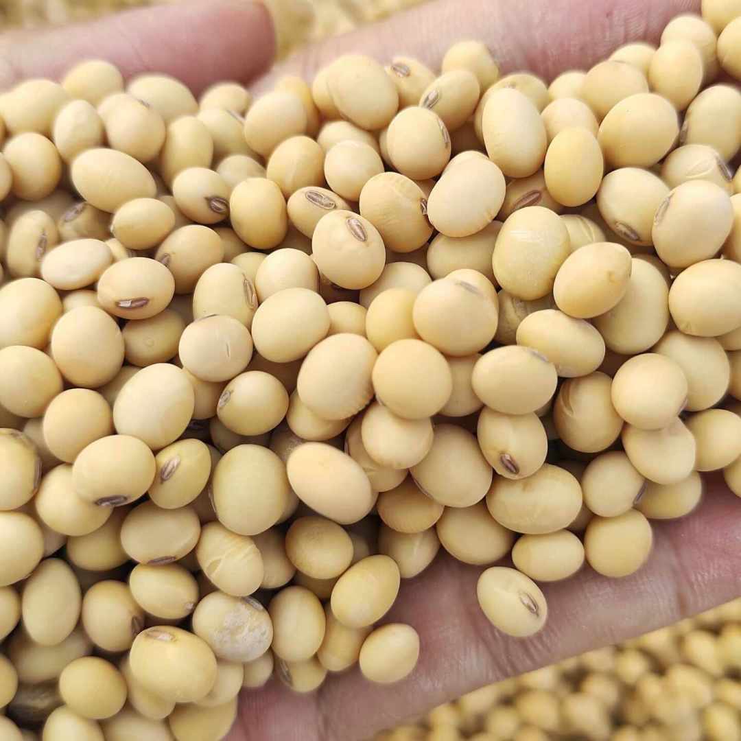 豆油盘面冲高8.8%,库存堆了35%,出厂价不涨反跌:北大仓粮油涨价的链条断在哪两处?我把本周的账算完