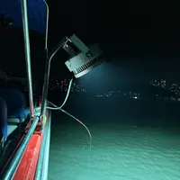 刷到一堆夜钓鱿鱼视频后，我翻完了9月全网实录：3小时人均1-2条，先别急着150块上车