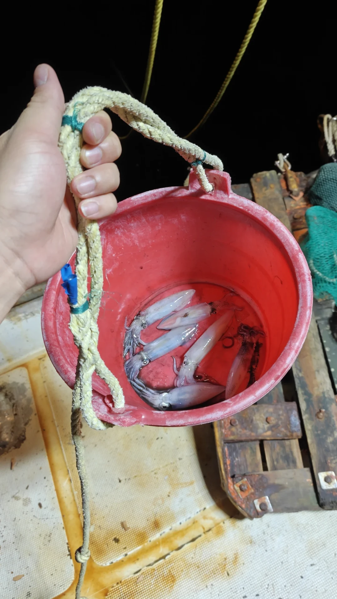 刷到一堆夜钓鱿鱼视频后,我翻完了9月全网实录:3小时人均1-2条,先别急着150块上车