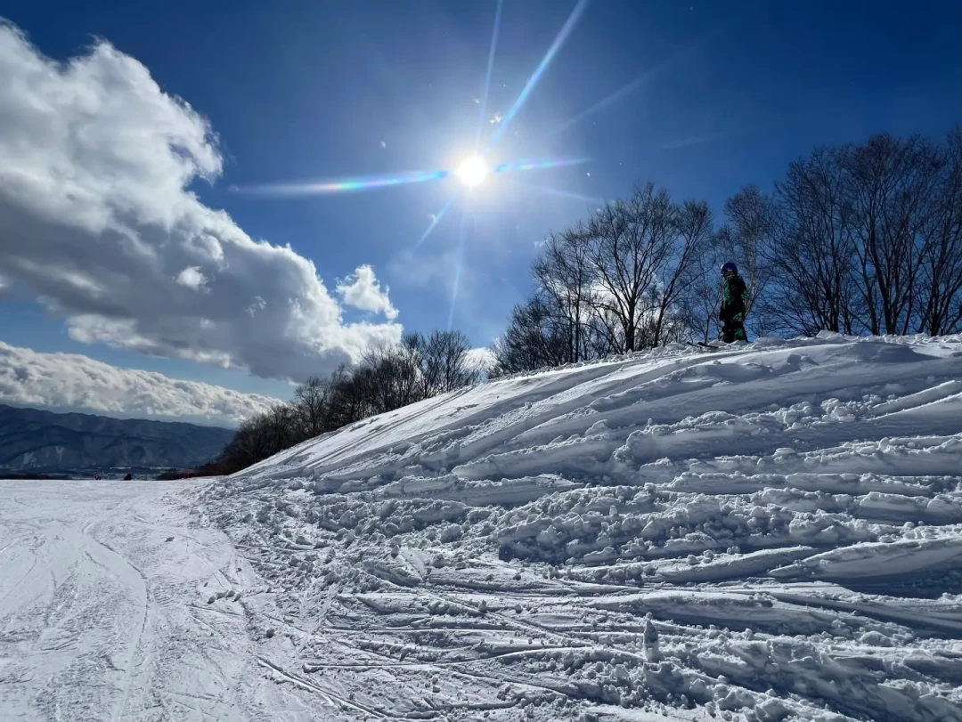 给娃报滑雪启蒙课花4000被怼出525条评论:我把室内班、雪场私教、日本滑雪学校的价格都对了一遍