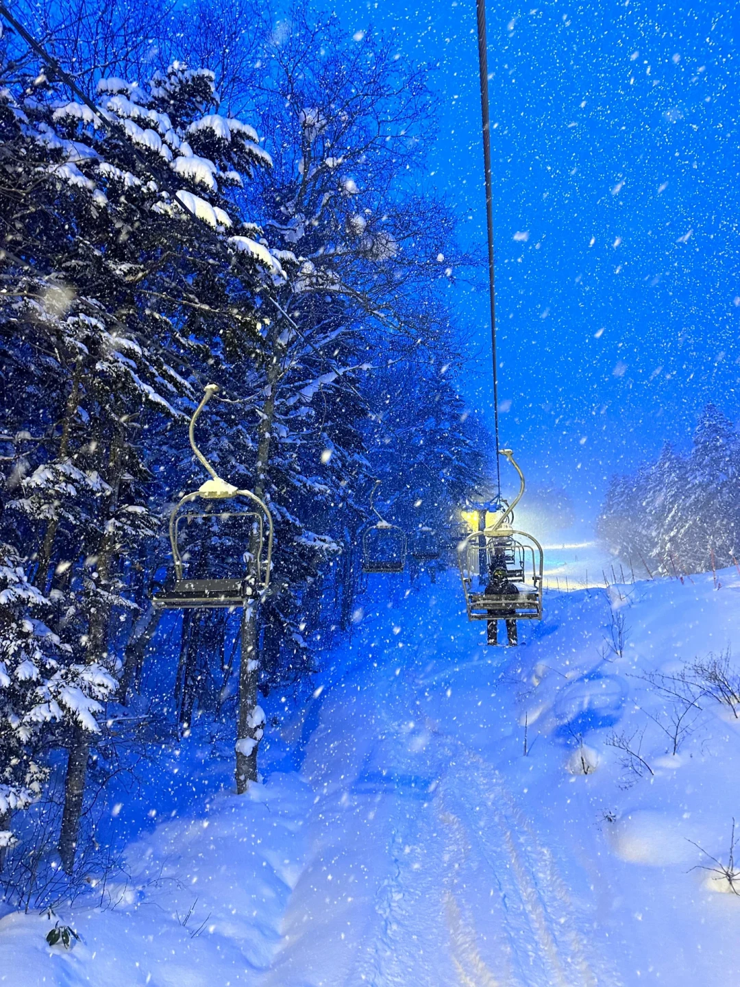 索赔3.6万被全驳回：首滑前，先看懂雪道上的责任现实，再决定保险怎么买
