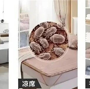 母婴级除螨喷雾大盘点，哪些值得选？仙贝宁高效除螨+抑菌守护全家居家健康