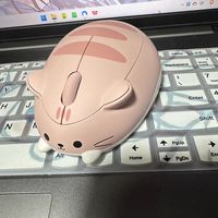 小巧安静的无线鼠标，入手这款AKKO猫猫款，日常办公用着很顺手
