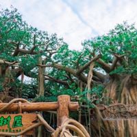 杭州周边玩的地方,选哪家不踩雷过来人经验分享