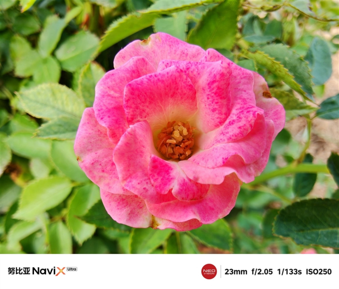 一句话解放双手!努比亚NaviX Ultra手机全面评测:全球首款AI智能体手机就该如此
